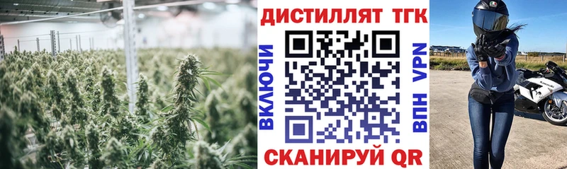 дарк нет Telegram где найти наркотики Ивантеевка Дистиллят ТГК THC oil