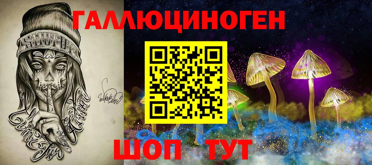Галлюциногенные грибы Psilocybine cubensis  Вход с VPN  Ивантеевка 